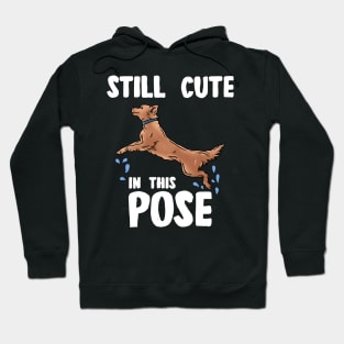 STILL CUTE IN THIS POSE Hoodie